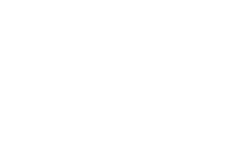 flair Logo der Marke Flair